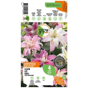 Grow by OBI Lilium Lotus Mix, 4 pezzi. Fiori rosa e bianchi sulla confezione.