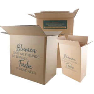 Cartons d'expédition pour plantes d'intérieur avec l'inscription "Les fleurs sont comme des amis"