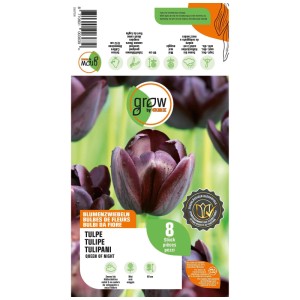 Emballage GROW by OBI Tulipe Queen of Night, 8 bulbes violet-noir. Élégante fleur foncée.