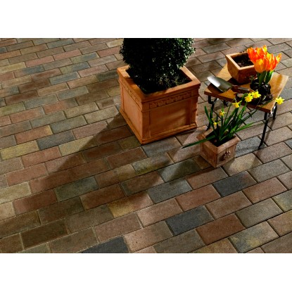 RechteckPflaster Beton Herbstbunt 20 cm x 10 cm x 6 cm kaufen bei OBI