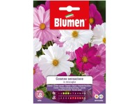 Blumen Mix Cosmea Sensazione Blumen Mix Cosmea Sensazione