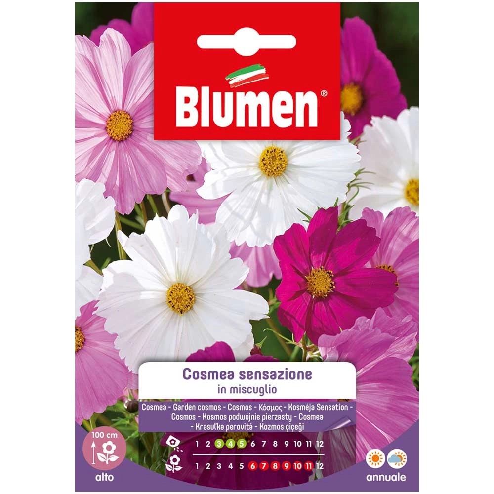 Blumen Mix Cosmea Sensazione kaufen bei OBI