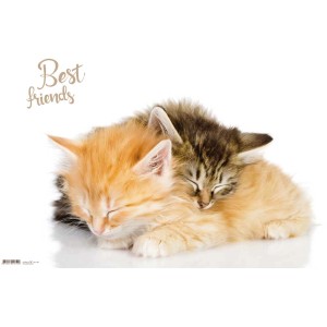 Sous-main Best Friends avec deux chatons endormis, 40x59 cm.