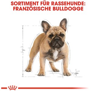 Royal Canin French Bulldog Adult cibo secco per cani Bulldog Francese, 3kg.