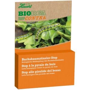 Hauert Biorga Contra Stop Pyrale du buis, lutte biologique contre les ravageurs avec des chenilles sur le buis.