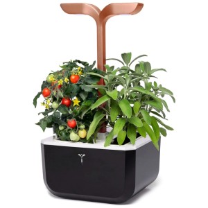 Véritable Exky Smart orto indoor in rame con piante di pomodoro e salvia.