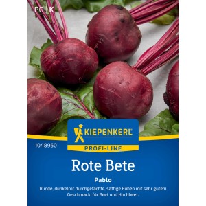 Betterave rouge Kiepenkerl Pablo F1-Hybride, betteraves rondes rouge foncé avec feuilles vertes et tiges.