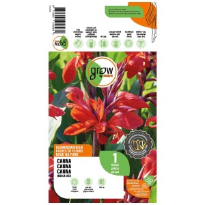 Bulbo di Canna Indica Red Grow by OBI con fiori rosso vivo sulla confezione.