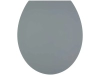 Diaqua® WC-Sitz Hollywood Grau mit Absenkautomatik