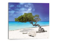 Wandbild Deco Panel Tropical Tree 40 x 50 cm