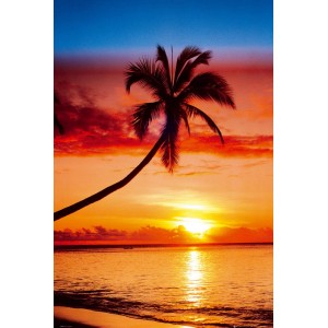Maxiposter Sonnenuntergang mit Palme, 61x91,5 cm. Tropische Urlaubsstimmung für Zuhause.