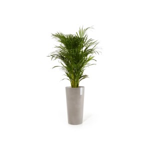 Haut pot de fleurs Ecopots Amsterdam taupe avec plante verte, idéal pour l'intérieur et l'extérieur.