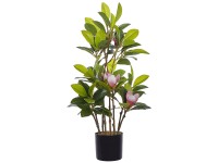 Kunstpflanze Magnolia im Blumentopf Ø 35 cm / Höhe 70 cm