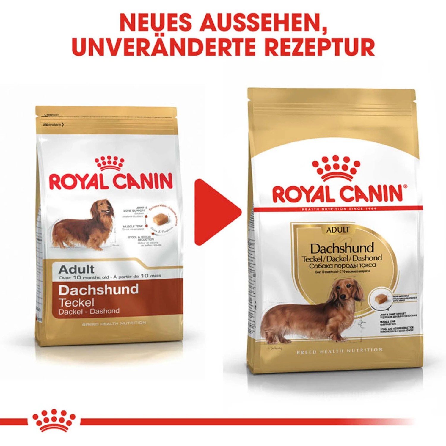 hundespielzeug kleine hunde Spielset Hündchen in Box – Mini-Hund mit Zubehör für Kinder – Makimo main image 1