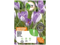 GROW by OBI Krokus Blumenzwiebel Whale Shark Zartblau 8 Stk.