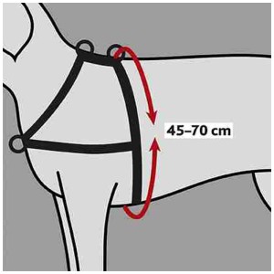 Illustrazione: Pettorina per cani Trixie Lead'n'Walk, nera, regolazione taglia 45-70 cm.