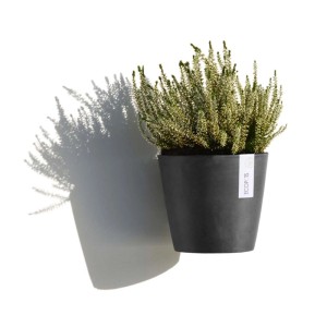 Vaso sospeso Ecopot Amsterdam Wall grigio scuro (20 cm) con pianta.