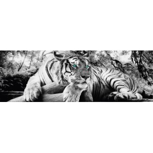 Quadro da parete: Tigre con occhi blu brillanti, appoggiata su un ramo. Decorazione per la tua casa.