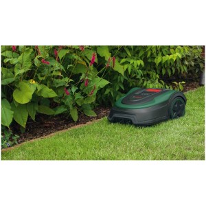 Robot tondeuse Bosch Indego S+ 500 4G vert/noir sur pelouse devant des plantes.