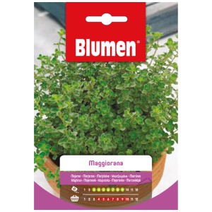 Sachet de graines de marjolaine Mauser, plante aromatique pour cuisine et jardin.