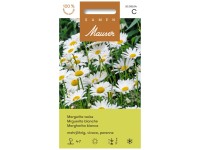 Samen Mauser Margerite Weiss
