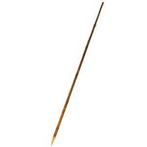 Bohnenstecken aus Holz, naturbelassen und gespitzt, zur Rankhilfe im Garten.