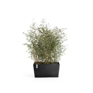 Fioriera Ecopots Paris grigio scuro, 80 cm, con piante. Ideale come vaso per il giardino.