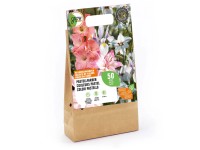 Grow by OBI Pastellfarben Mischung 50 Stk. Grow by OBI Pastellfarben Mischung 50 Stk.