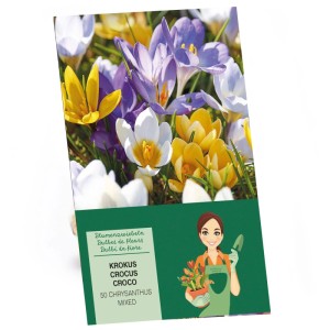 GROW by OBI Krokus Blumenzwiebel Mischung, mehrfarbig. Frühlingsblüher für Garten und Balkon.