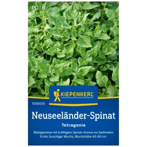 Graines d'épinard de Nouvelle-Zélande Kiepenkerl Tetragonia, plante touffue aux feuilles vertes.