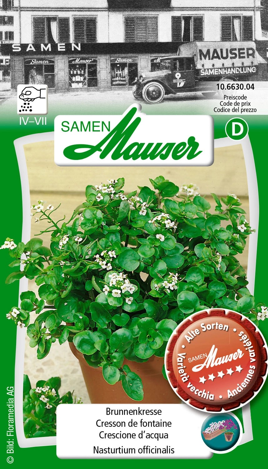 Brunnenkresse kaufen bei OBI