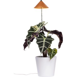 Lampada LED per piante Parus Sunlite 7W rame in vaso bianco, ideale per la coltivazione senza luce solare.