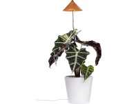 LED-Pflanzenlampe Sunlite Kupfer 7 W