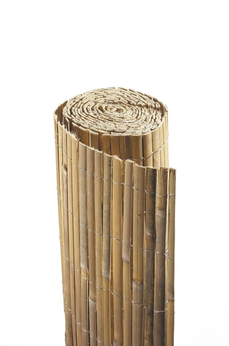 bambus kletterpflanze Bambus rufa (Fargesia rufa) | 60-80 cm im Topf main image 1