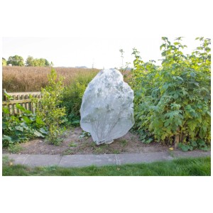 Filet de protection Andermatt InsectoNet 5x4,2m sur plante dans jardin.