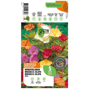 Grow by OBI Belle di notte, bulbi misti con fiori gialli, rosa e viola.