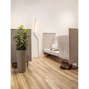 Sol stratifié Chêne Noble, pose dans un salon avec canapé et plante.