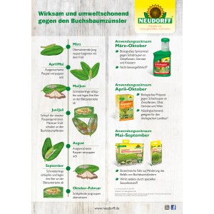 Infographie sur le cycle de vie de la pyrale du buis et la lutte avec les produits Neudorff.