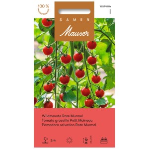 Sachet de graines de tomate sauvage Rote Murmel : Mini tomates rouges abondantes sur la plante.