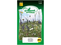 Wildblumenwiese Swissflora Wildblumenwiese Swissflora