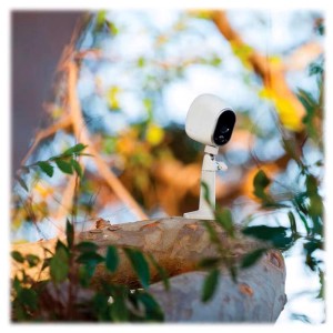 Caméra Arlo avec support plafond et mural blanc VMA1000-10000S sur un tronc d'arbre.