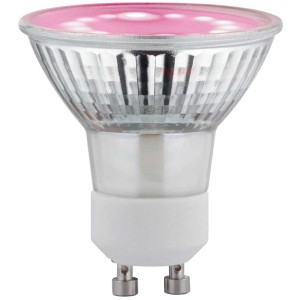 Lampada LED per piante Paulmann GU10, riflettore argentato con luce rosa per la crescita delle piante.