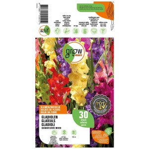 Grow by OBI Gladioli Grandiflorus Mix, 30 bulbi da fiore in vari colori.
