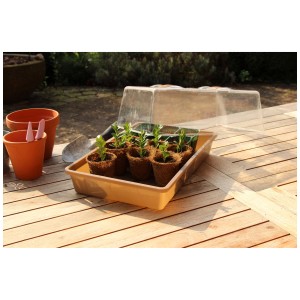 Semenzaio Videx Garden con coperchio e piccole piante in vaso.