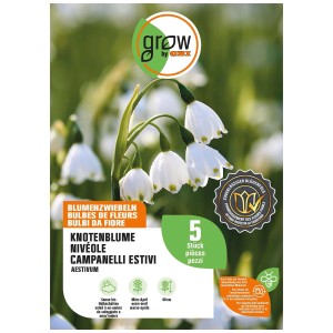 Confezione di campanelle estive Leucojum Aestivum, fiori bianchi, bulbi da fiore di GROW by OBI.