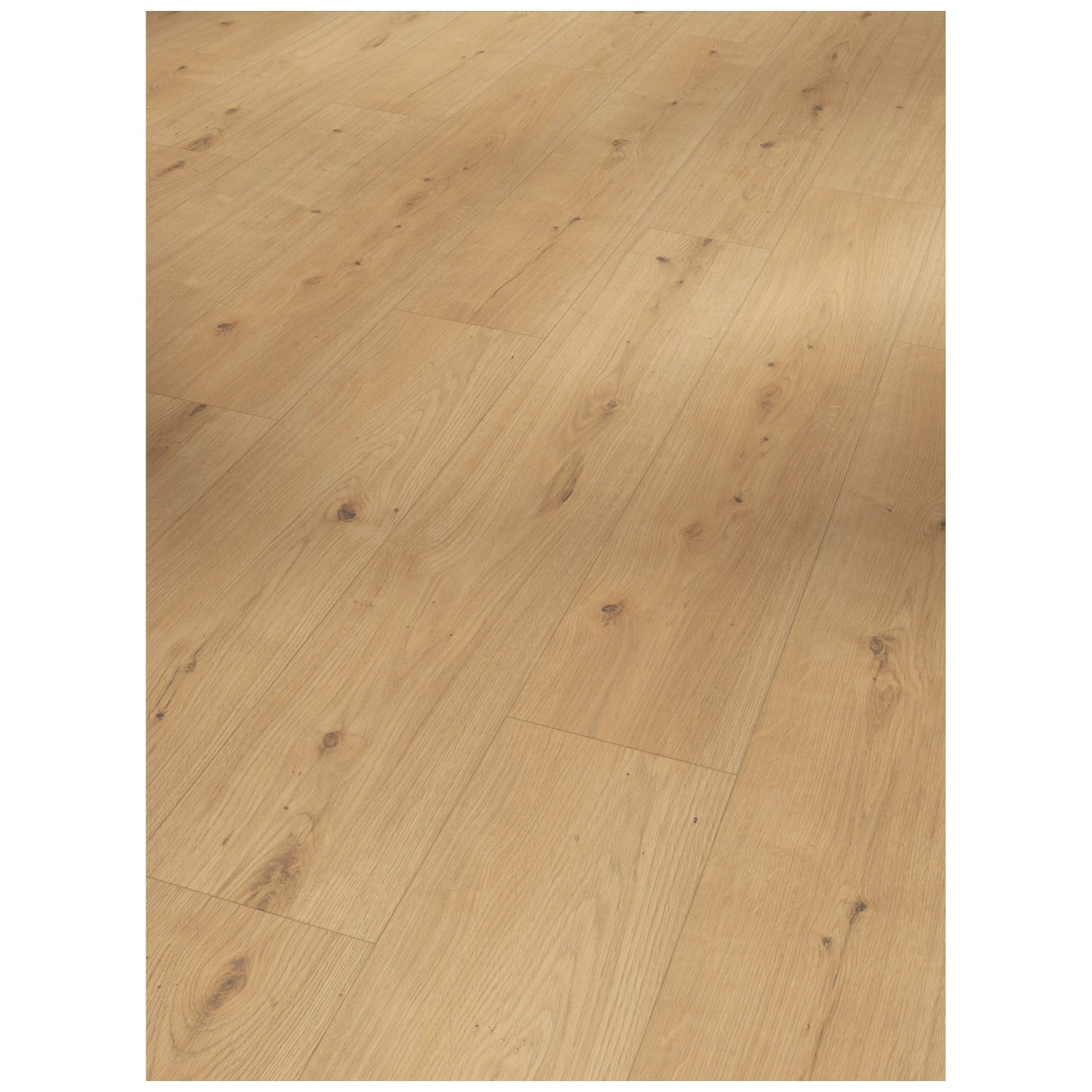 Faszinierend Parador Vinyl Eiche Ebenbild