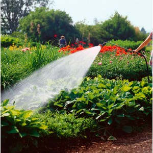 Scena del giardino: irrigazione con lancia a spruzzo Gardena Profi-System. Alto flusso d'acqua.