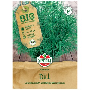 Sperli Semi di Aneto Bio: Pianta aromatica di aneto in vaso, ideale per condire e arricchire i piatti.