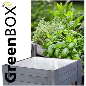 Aiuola rialzata in legno Wagner GreenBox light antracite con piante in giardino.