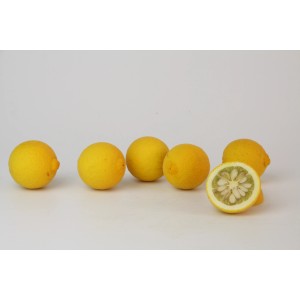 Blu Arance Amare Bio, vaso Ø 12 cm, Poncirus trifoliata, frutti gialli, uno tagliato a metà.